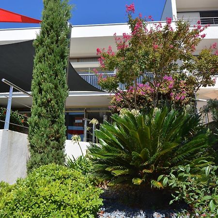 Hotel Les Eucalyptus Porto Pollo Exterior foto