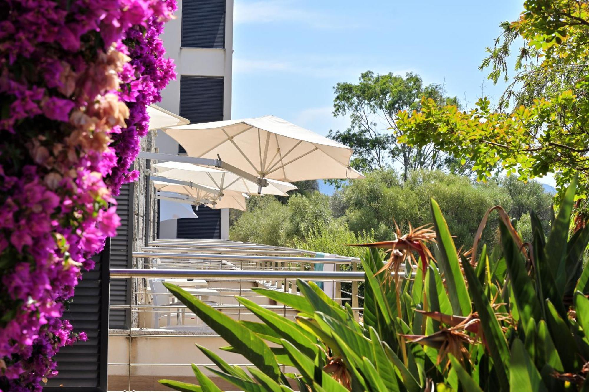 Hotel Les Eucalyptus Porto Pollo Exterior foto
